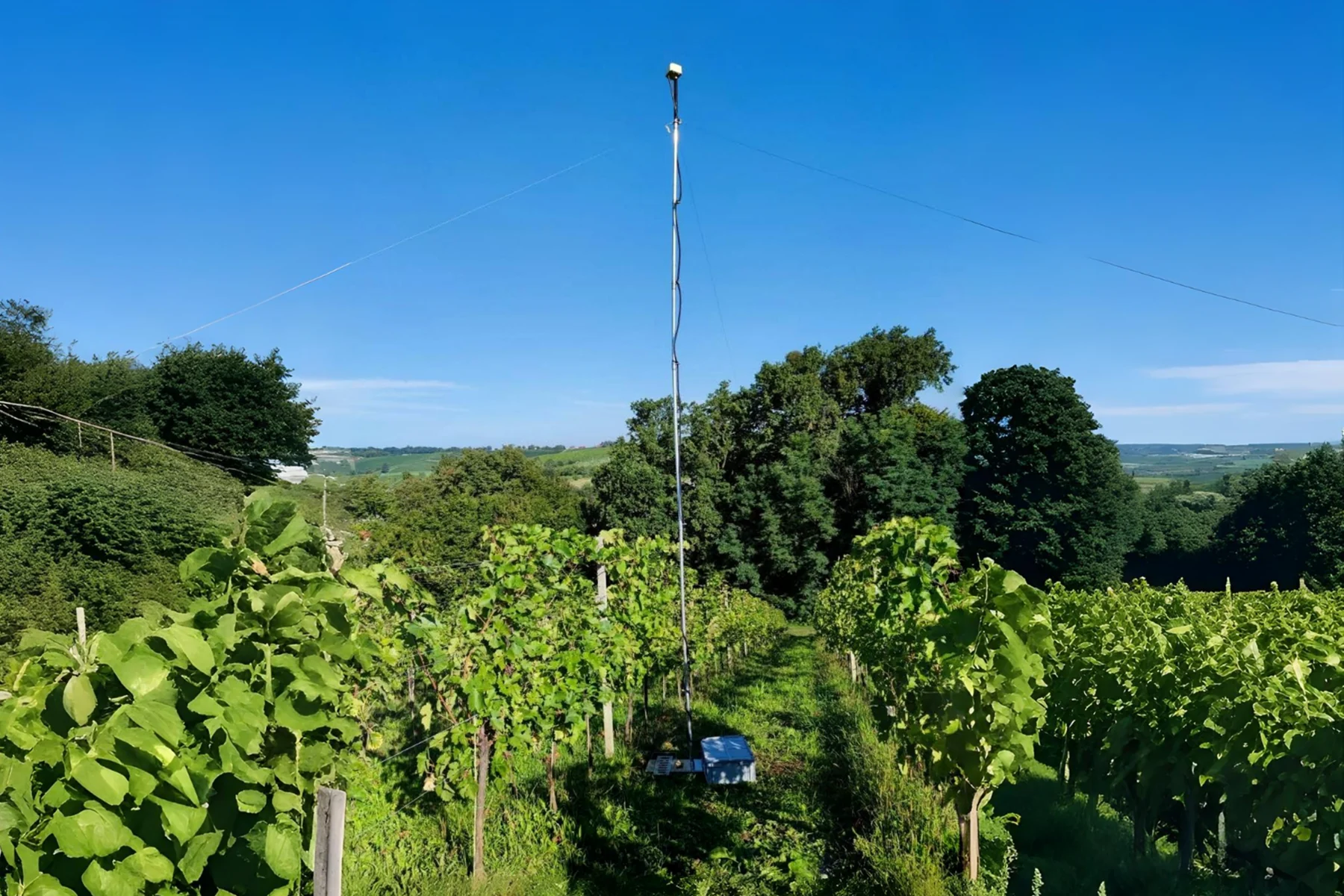 R-Wave RTK base station installed in a vineyard