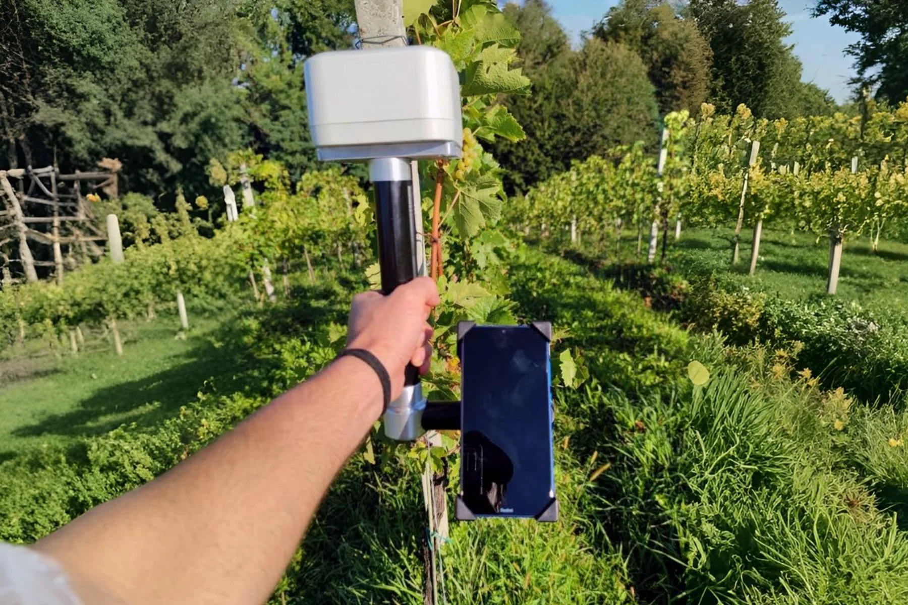 Handheld R-Wave RTK mapper used in a vineyard