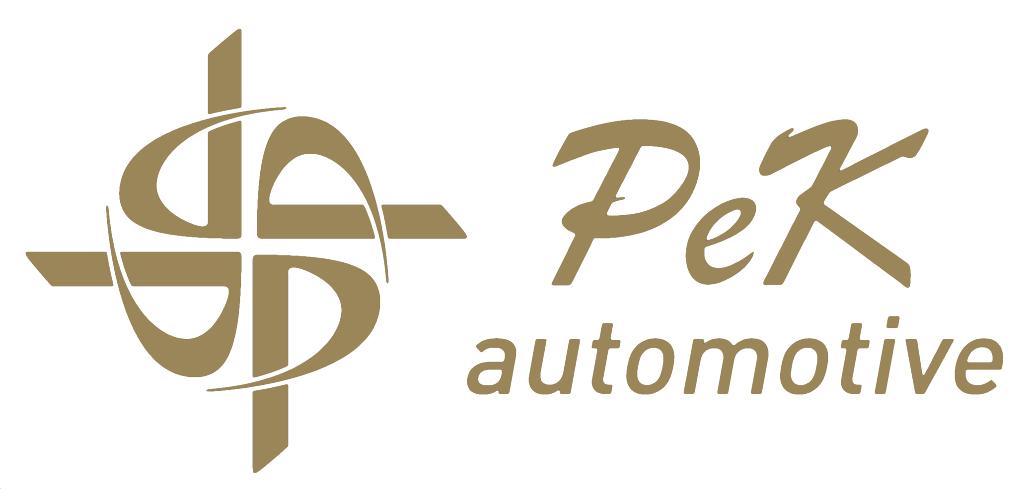 SPECIAL-PURPOSE ELECTRICAL VEHICLES - PEK AUTO