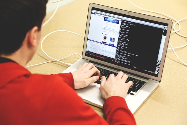 Firmware developer image